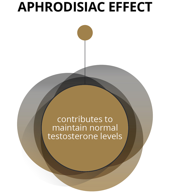 Aphrodisiac effect - contributes to maintain normal testosterone levels