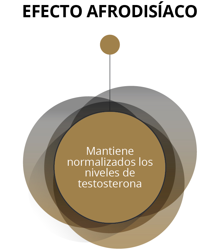 EFECTO AFRODISÍACO - Mantiene normalizados los niveles de testosterona