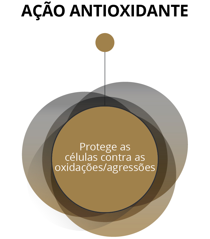 Ação Antioxidante - Protege as células contra as oxidações/agressões