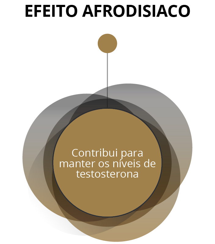 Efeito Afrodisíaco - Contribui para manter os níveis de testosterona