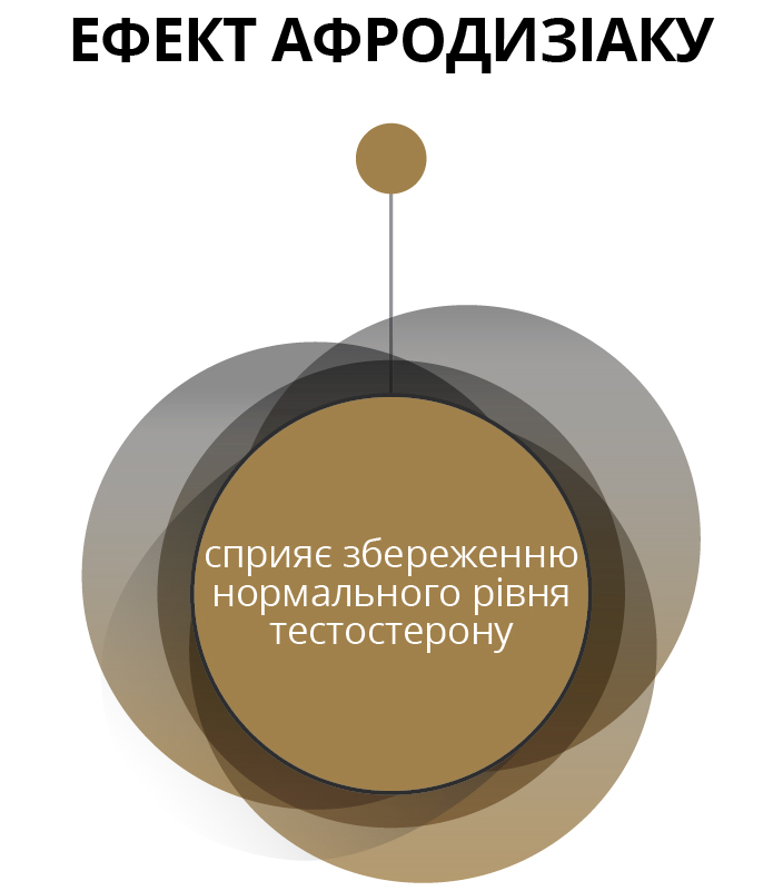 ЕФЕКТ АФРОДИЗІАКУ - сприяє збереженню нормального рівня тестостерону